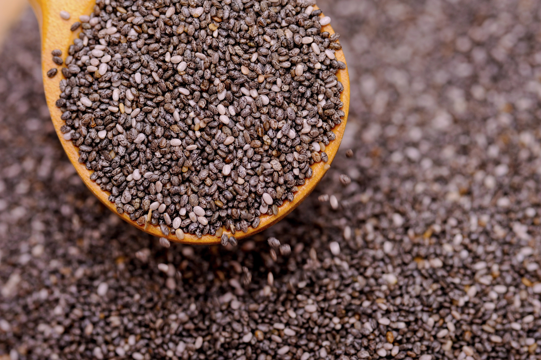 poppy seeds images in telugu