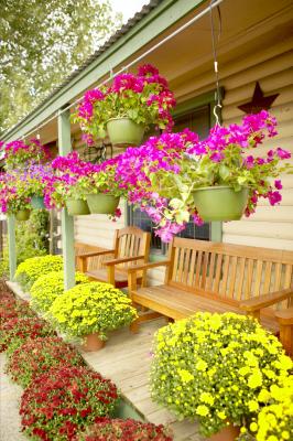 Ideas de paisajismo para un patio delantero pequeño | eHow en Español