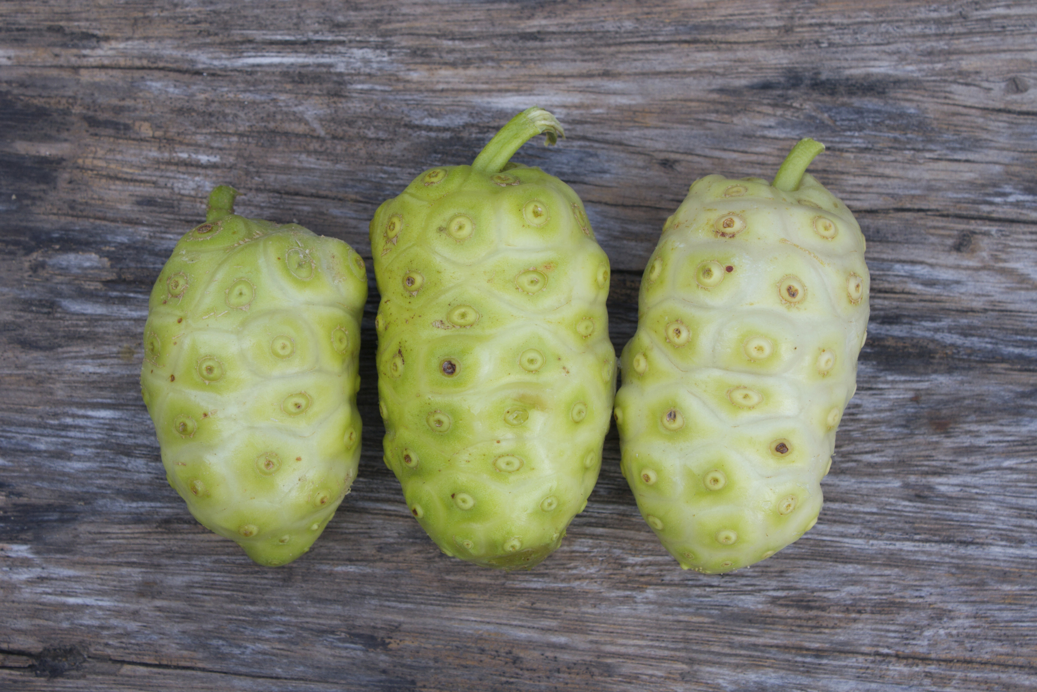 Benefits of Tahitian Noni Healthfully