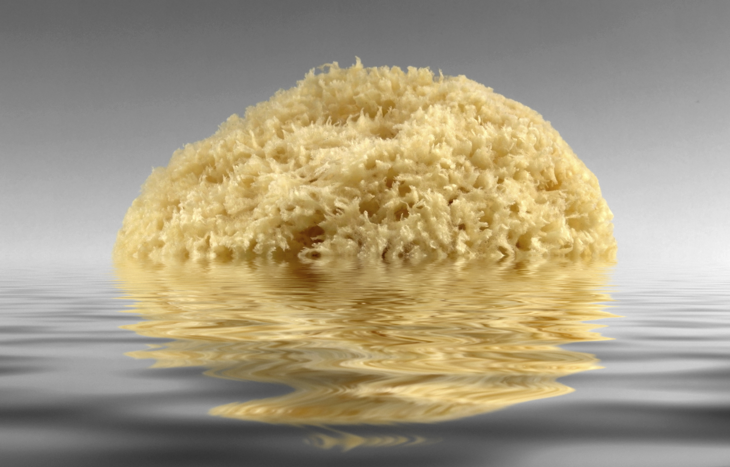 How to Clean Your Body Without a Shower or Bath Our Everyday Life