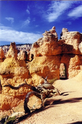 Pet Friendly Lodging Near Bryce Canyon