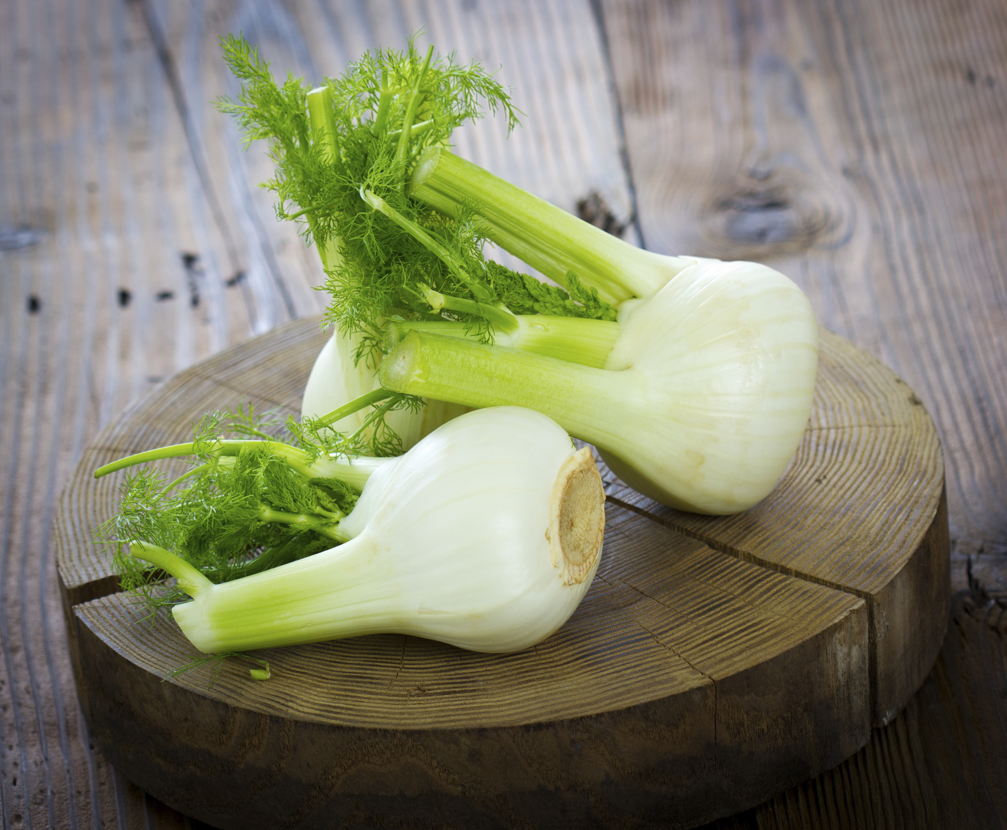 fennel bulb nutrition