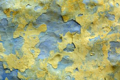 Different Colors Of Crackle Paint Finishes Home Guides Sf Gate