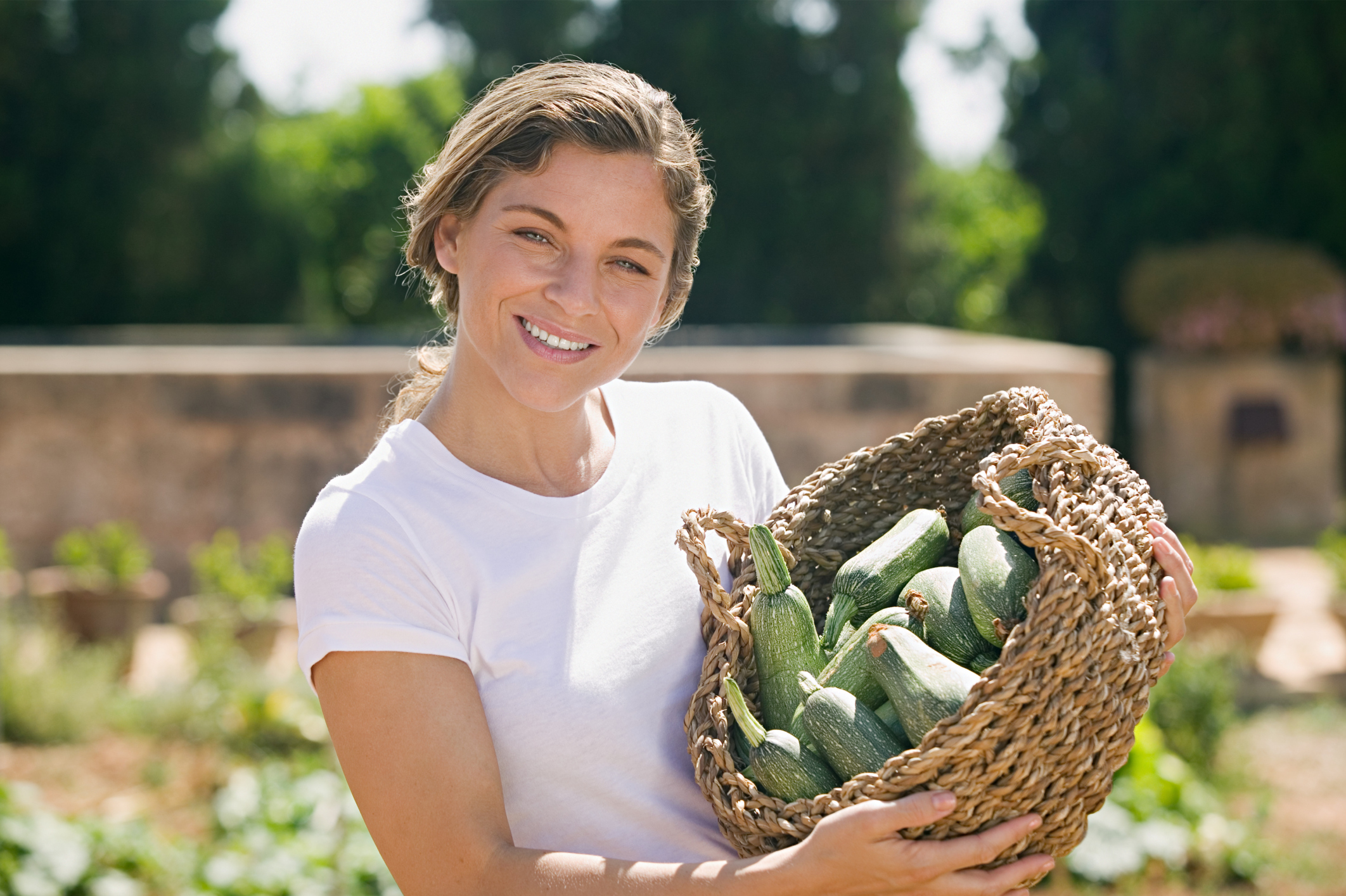Spring Vegetable Gardening In Las Vegas Fasci Garden
