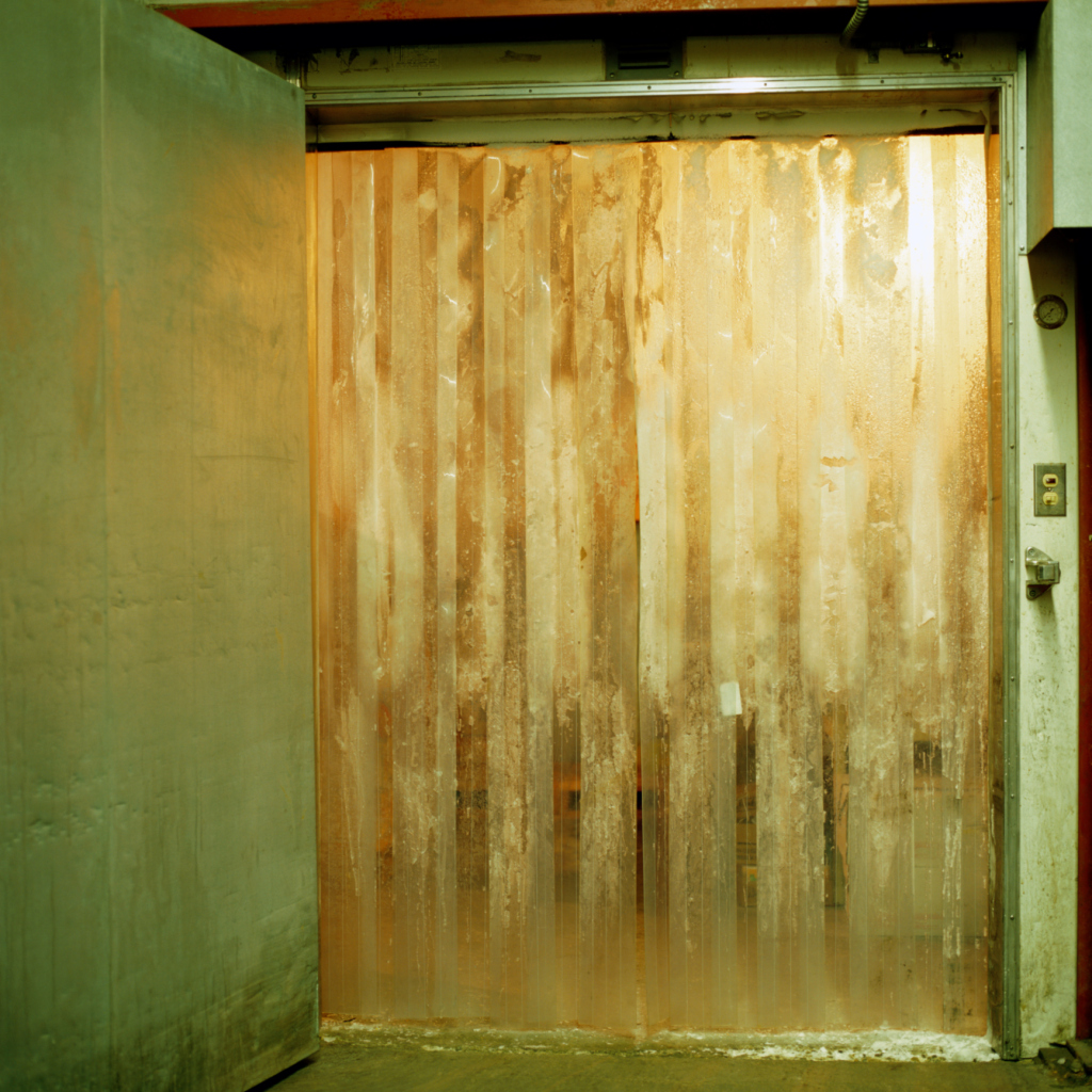 wind blows dog door open