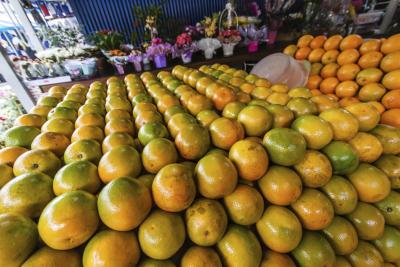 What Are the Advantages of Eating Oranges?