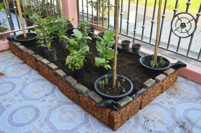 How To Garden Vegetables In Containers Or Raised Beds Home - Raised Vegetable Garden Containers How To Garden Vegetables In Containers Or Raised Beds Home - Raised Vegetable Garden Containers