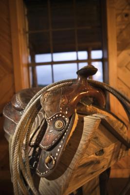 Comfortable Western Saddle For Beginners Animals Mom Me