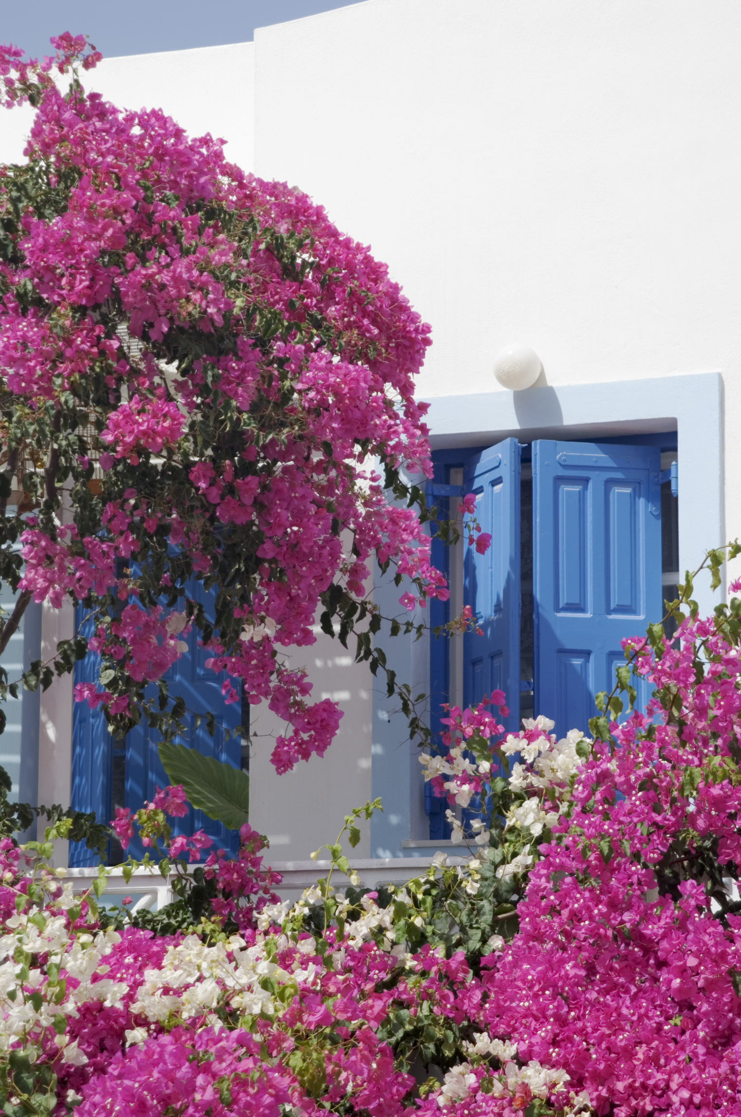 How To Tell How Much Light One Part Of Your Yard Is Getting