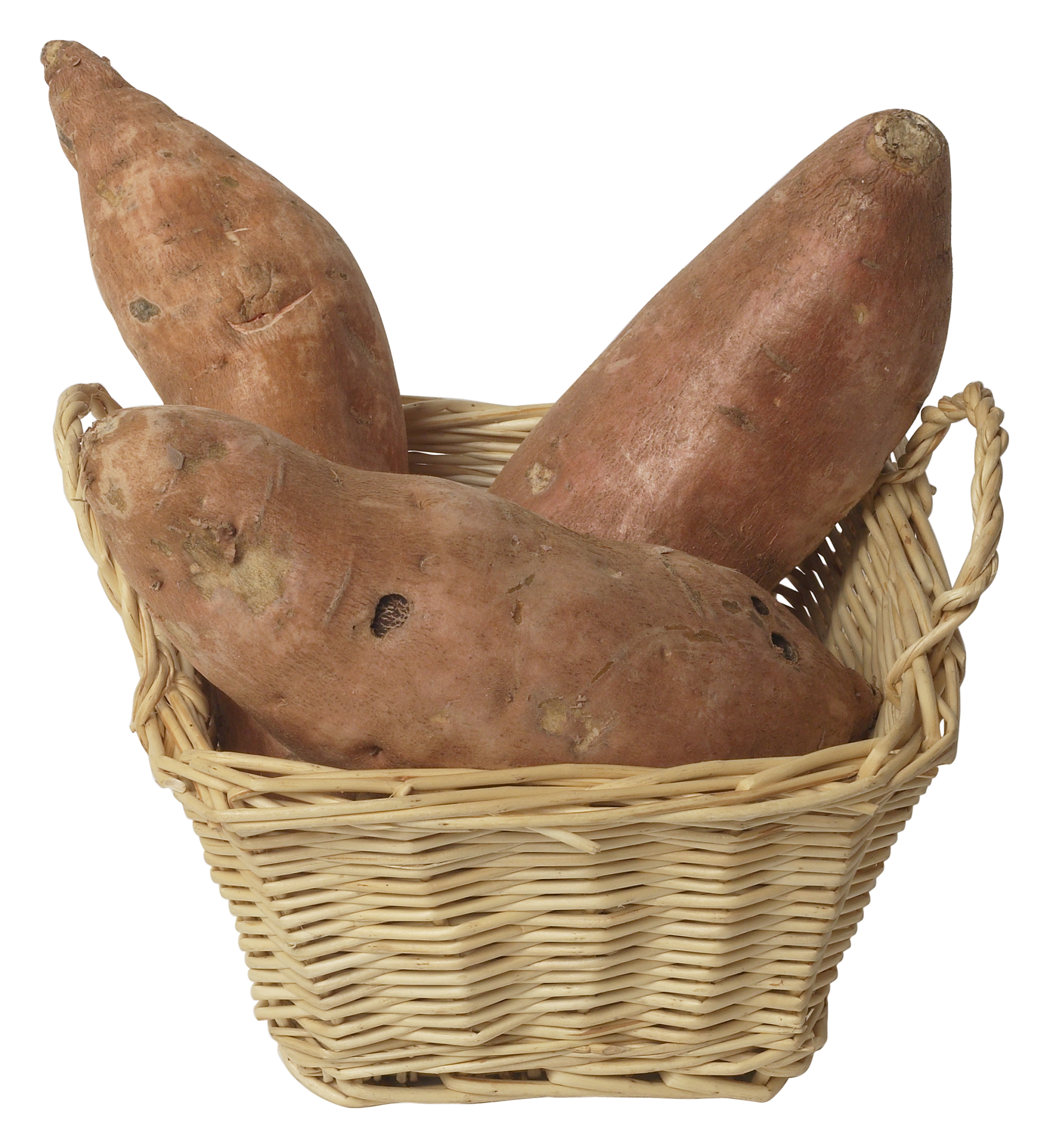 sweet potato bodybuilding