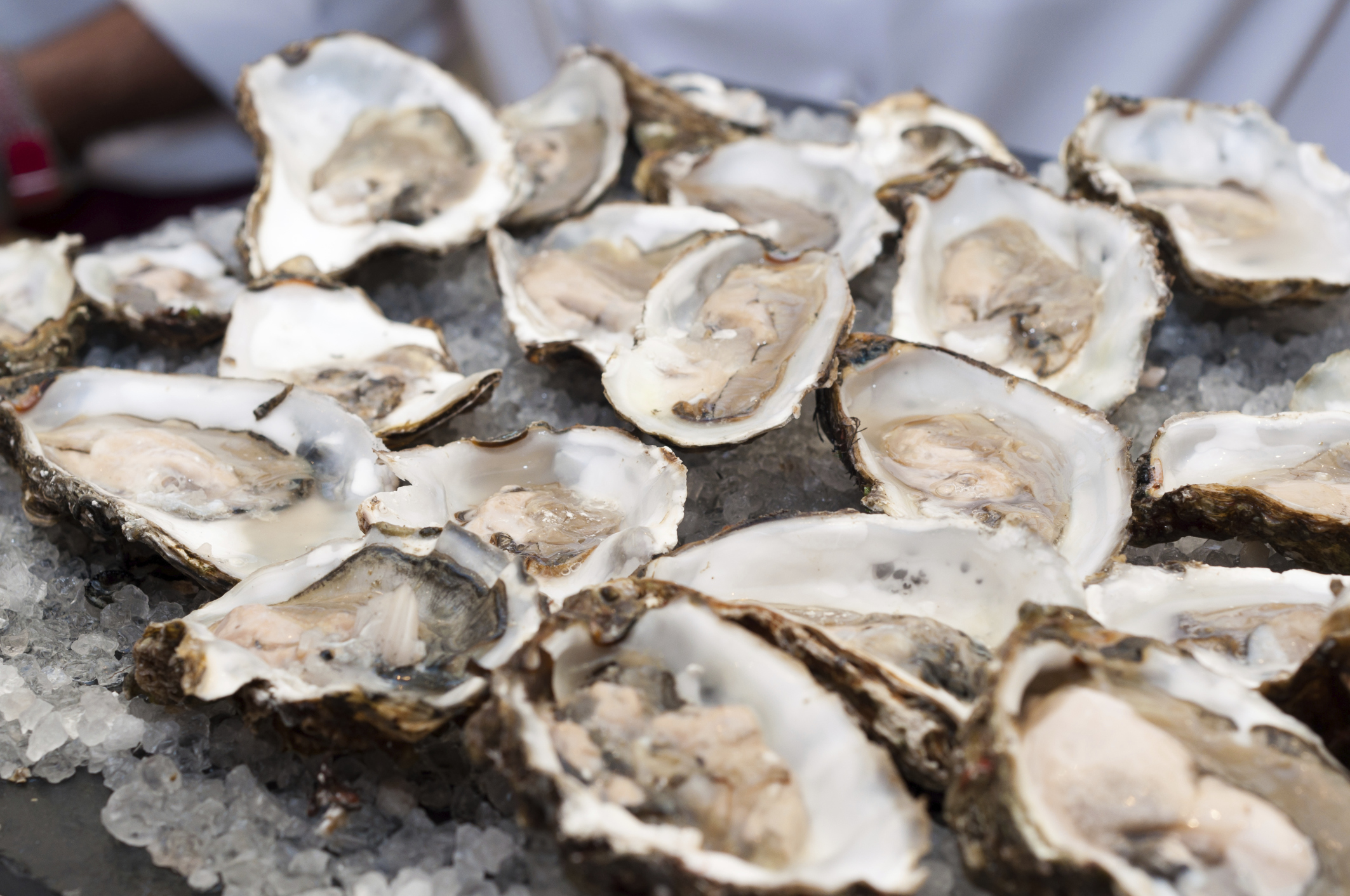 do oysters contain omega 3?